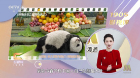 中文字幕久久综合